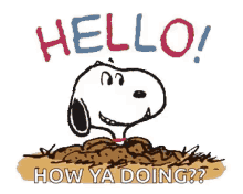 Snoopy Hello GIF - Snoopy Hello How GIFs