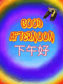 Good Afternoon Flowers GIF - Good Afternoon Flowers Rainbow GIFs