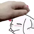 a person is petting a cat 's head with a pink heart on it .