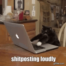 a black cat is playing with an apple laptop and the words shitposting loudly are visible