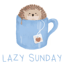 sunday lazy