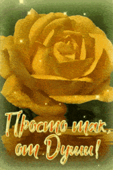 a yellow rose is on a green background with the words tpocmo mak om dyuu