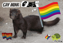 a picture of a furry animal with a rainbow flag and the words gay mink
