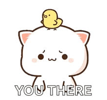 a cartoon cat with a yellow chicken on its head .