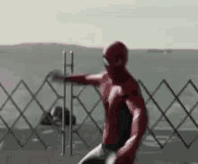 Spideysav Spiderman GIF - Spideysav Spiderman Homecoming GIFs