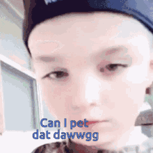 Can I Pet Dat Dawg Pet Dat Dog GIF - Can I Pet Dat Dawg Pet Dat Dog Can I GIFs
