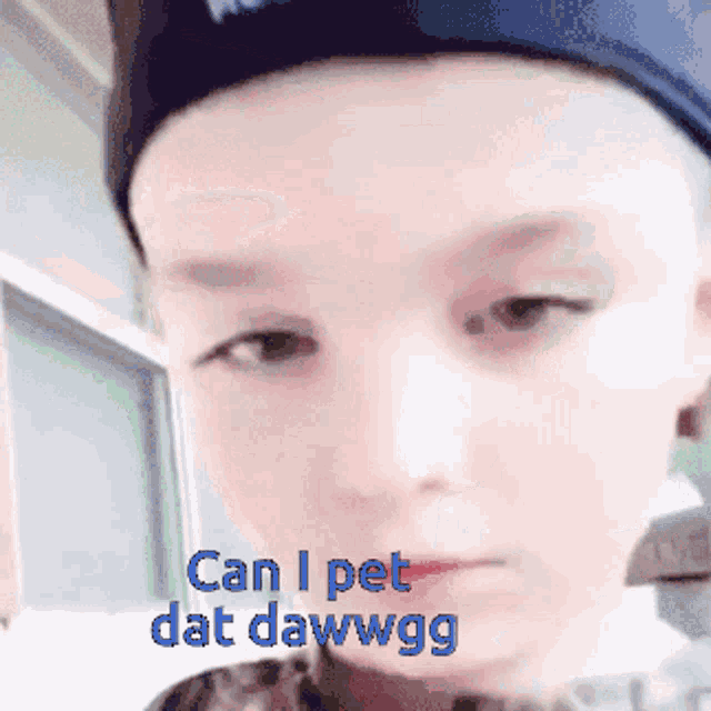 Can I Pet Dat Dawg Pet Dat Dog GIF - Can I Pet Dat Dawg Pet Dat 