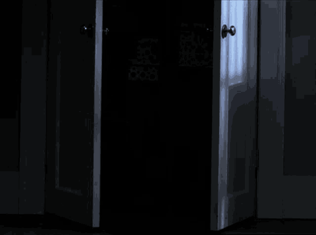 510-ms.gif (500×363)  Doors, Closed doors, Scary gif