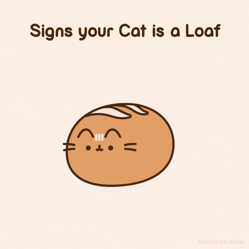 Pusheen Loaf Pusheen S Best Friend GIF Pusheen loaf Pusheen Pusheen s best friend Discover Share GIFs