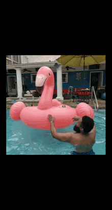 Flamingo Summer GIF - Flamingo Summer Wasted GIFs