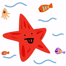 cute starfish