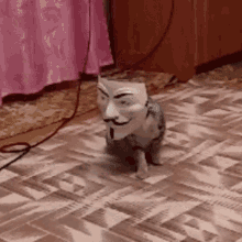 анонимкотanonim Cat GIF - анонимкотanonim Cat Cat GIFs