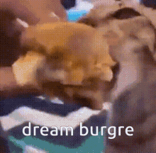 Dream Dream Burger GIF - Dream Dream Burger Burger GIFs
