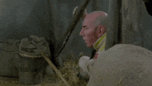 a bald man with a red face is peeking out from behind a pile of hay .