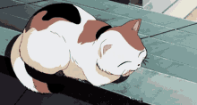 Inuyasha Cat GIF - Inuyasha Cat Sleepy Cat GIFs