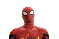 a spider man wearing sunglasses looks at the camera