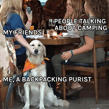 a dog wearing a bandana sits at a table with people talking about camping and a backpacking purist