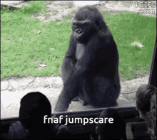 Fnaf Jumpscare Monkey GIF
