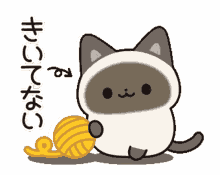 kawaii kitty