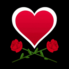 a red heart with a white border and two red roses on a black background