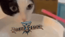 a black and white cat is looking at a warhammer rogue trader logo
