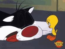 Sylvester Cat GIF - Sylvester Cat Sleeping GIFs