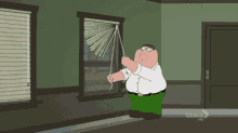 Family Guy Peter Griffin GIF - Family Guy Peter Griffin Blinds GIFs