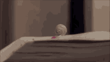 Marcel The Shell Read On GIF - Marcel The Shell Read On Book GIFs