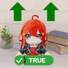 a picture of a stuffed doll with arrows pointing up and the words " this post was fact checked by real itsuki "