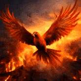 феникс Phoenix GIF - феникс Phoenix Fenyax GIFs