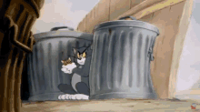 Tom And Jerry Give Me Power GIF - Tom And Jerry Give Me Power Evil Laugh GIFs