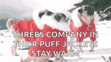 pugs bundle up snow suit coats stay warm