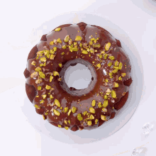 a chocolate bundt cake with pistachios on it