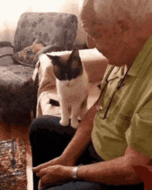Wholesome Cat GIF - Wholesome Cat Cuddles GIFs