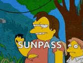 a cartoon character from the simpsons is standing next to a tree holding a rock and says sunpass .