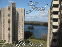 Good Afternoon Bronx GIF