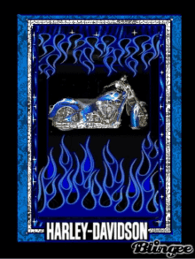 Harley Davidson Bike GIF
