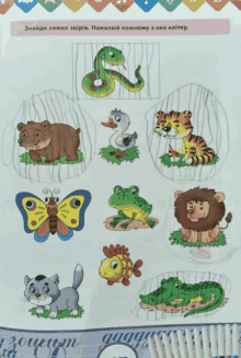 a drawing of a bear a frog a cat a tiger and a fish