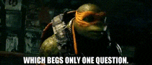 Tmnt Michelangelo GIF - Tmnt Michelangelo Which Begs Only One Question GIFs