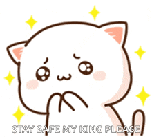 a cartoon cat with the words stay safe my king please written on it