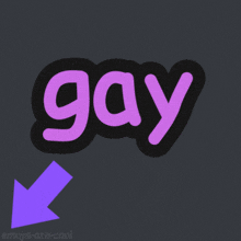 This User Gay GIF - This User Gay I'M Gay GIFs