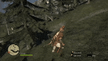 Dragons Dogma Open World GIF - Dragons Dogma Open World Forest GIFs