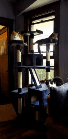 Hanging Out GIF - Hanging Out Chilling GIFs