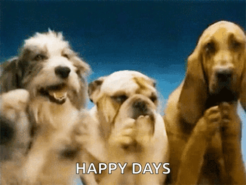 happy dog gifs