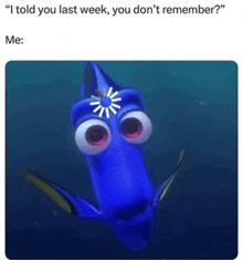 Huh Dory Meme