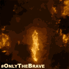 Fire Bear GIF - Only The Brave Only The Brave Movie Only The Brave Gifs GIFs