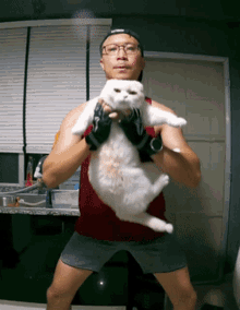 Beagle Fat Cat Squat GIF - Beagle Fat Cat Squat Cat GIFs