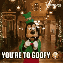 Your Youre GIF - Your Youre To GIFs