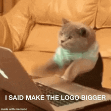 Make The Logo Bigger Cat GIF - Make The Logo Bigger Cat Client GIFs