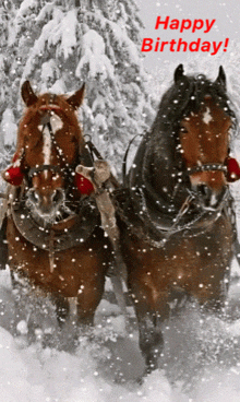 Happy Birthday Clydesdale GIF - Happy Birthday Clydesdale GIFs